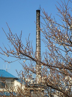 09.02.08.東村山・所沢034.jpg