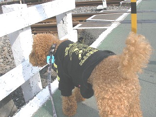 07.10.23.もび021.jpg