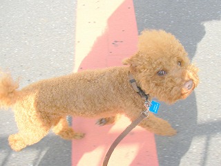 08.04.11.もび011.jpg