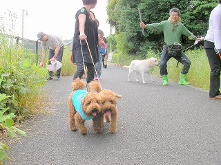 09.06.14.わん友会020.jpg
