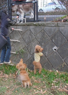 09.01.11.東村山030.jpg