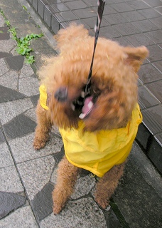 08.08.26.東村山027.jpg