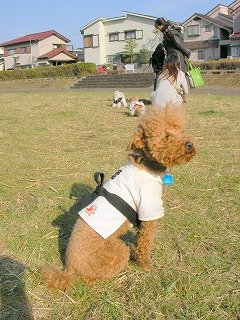 08.03.11.もび025.jpg