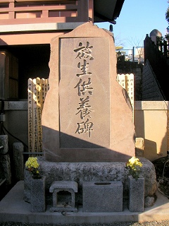 09.01.25.早稲田017.jpg