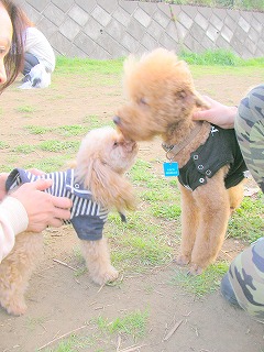 08.04.03.もび045.jpg