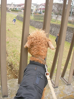 09.03.03.もび024.jpg
