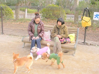 09.03.11.東村山・所沢038.jpg