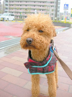 08.04.08.もび013.jpg