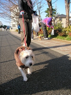 09.02.08.東村山・所沢022.jpg