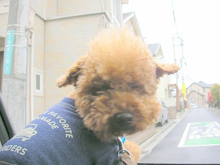 08.04.13.もび005.jpg