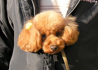 09.02.08.東村山・所沢023.jpg