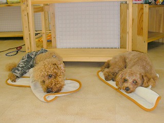 08.06.05.もび030.jpg