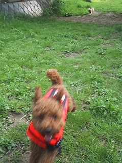 IMG_1471.jpg