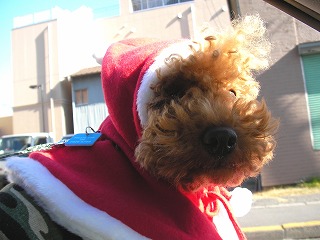 07.12.09.もび001.jpg