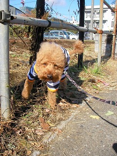 08.11.25.もび001.jpg