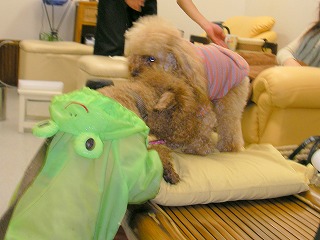 08.04.08.もび032.jpg