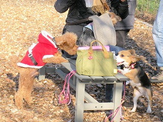 08.12.21.東村山014.jpg