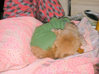 09.03.11.東村山・所沢009.jpg