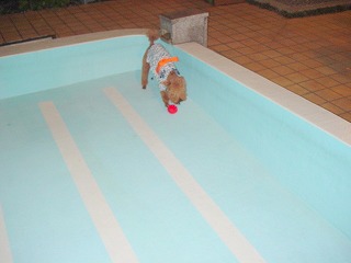 08.06.11-12.鬼怒川025.jpg