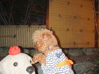 08.06.11-12.鬼怒川024.jpg