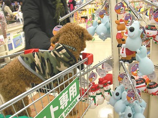 07.12.09.もび027.jpg