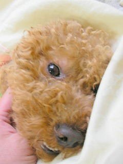 08.04.08.もび021.jpg