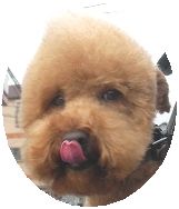 08.11.11.もび002.jpg