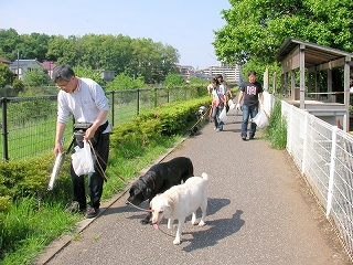 09.05.10.DogWalk032.jpg