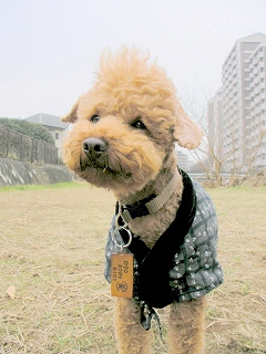 09.01.29.もび013.jpg
