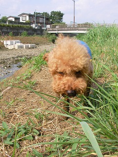 08.08.01.もび024.jpg