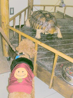 08.03.20.もび021.jpg