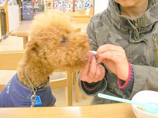 08.04.13.もび049.jpg