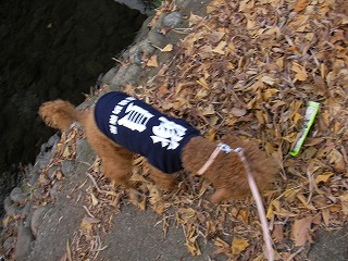 08.01.08.もび027.jpg