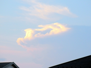 08.09.02.所沢・東村山038.jpg