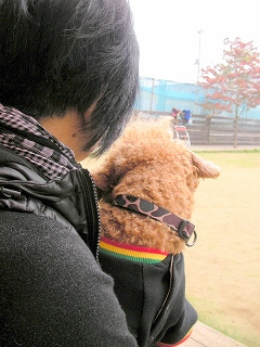 08.11.03.川越・東村山・瑞穂028.jpg