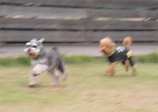 08.11.03.川越・東村山・瑞穂022.jpg
