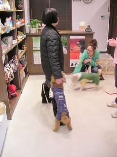 09.03.01.所沢・瑞穂085.jpg