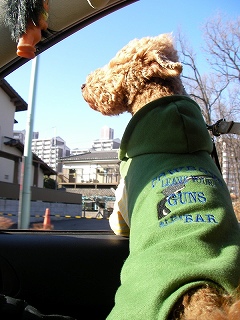 09.02.08.東村山・所沢116.jpg