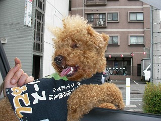 08.05.25.東村山007.jpg