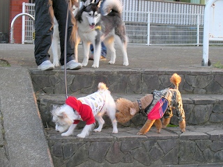 08.11.13.もび026.jpg
