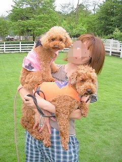 モザイクjpg.jpg