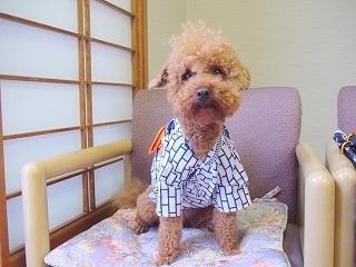 08.06.11-12.鬼怒川008.jpg