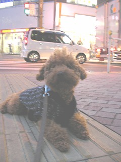 07.12.25.もび042.jpg