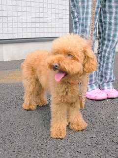 09.06.14.わん友会084.jpg