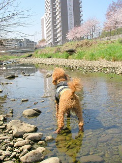 08.03.27.もび021.jpg