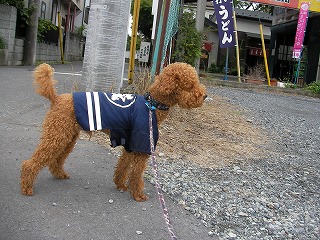 07.10.02.もび033.jpg