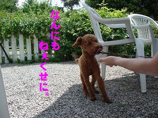 台詞入り.JPG