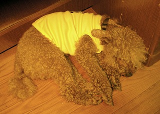 08.05.27.もび050.jpg