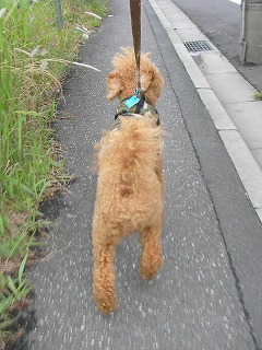 08.05.11.もび003.jpg