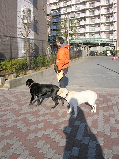 09.02.08.東村山・所沢027.jpg